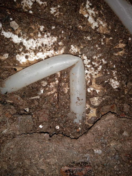 绥滨堵点精准查找